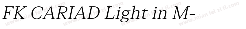 FK CARIAD Light in M字体转换